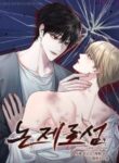 Non Zero Sum cover