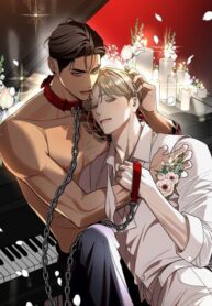 Falling Brothers cover